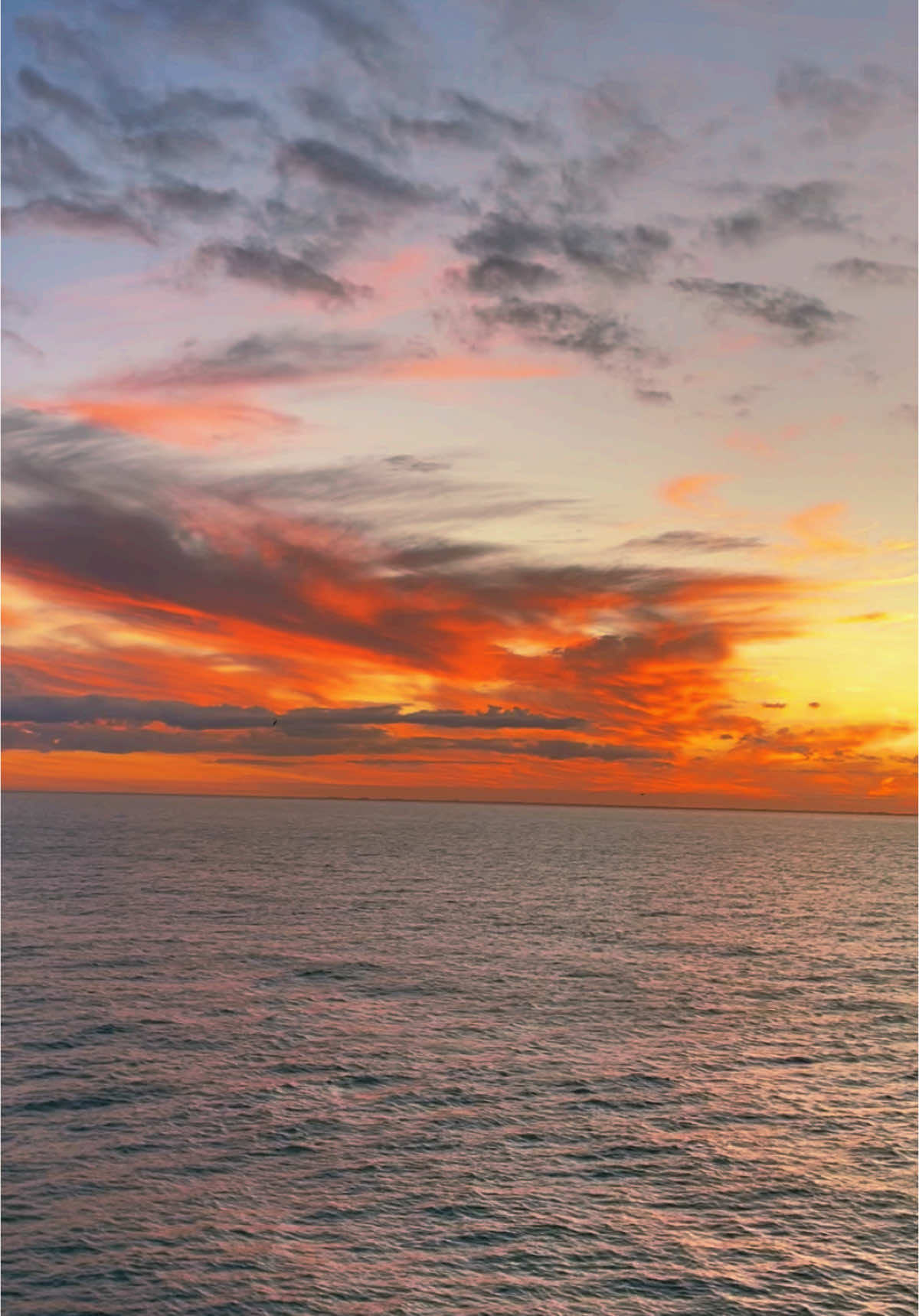 what a beautiful sunset leaving Port Canaveral on the stunning MSC Seashore! @MSC Cruises Official @MSC Cruises US  #msc #mscseashore #portcanaveral #orlando #fl #florida #bahamas #oceancay #oceancaymarinereserve #2025 #sunset #msccruises #atsea 