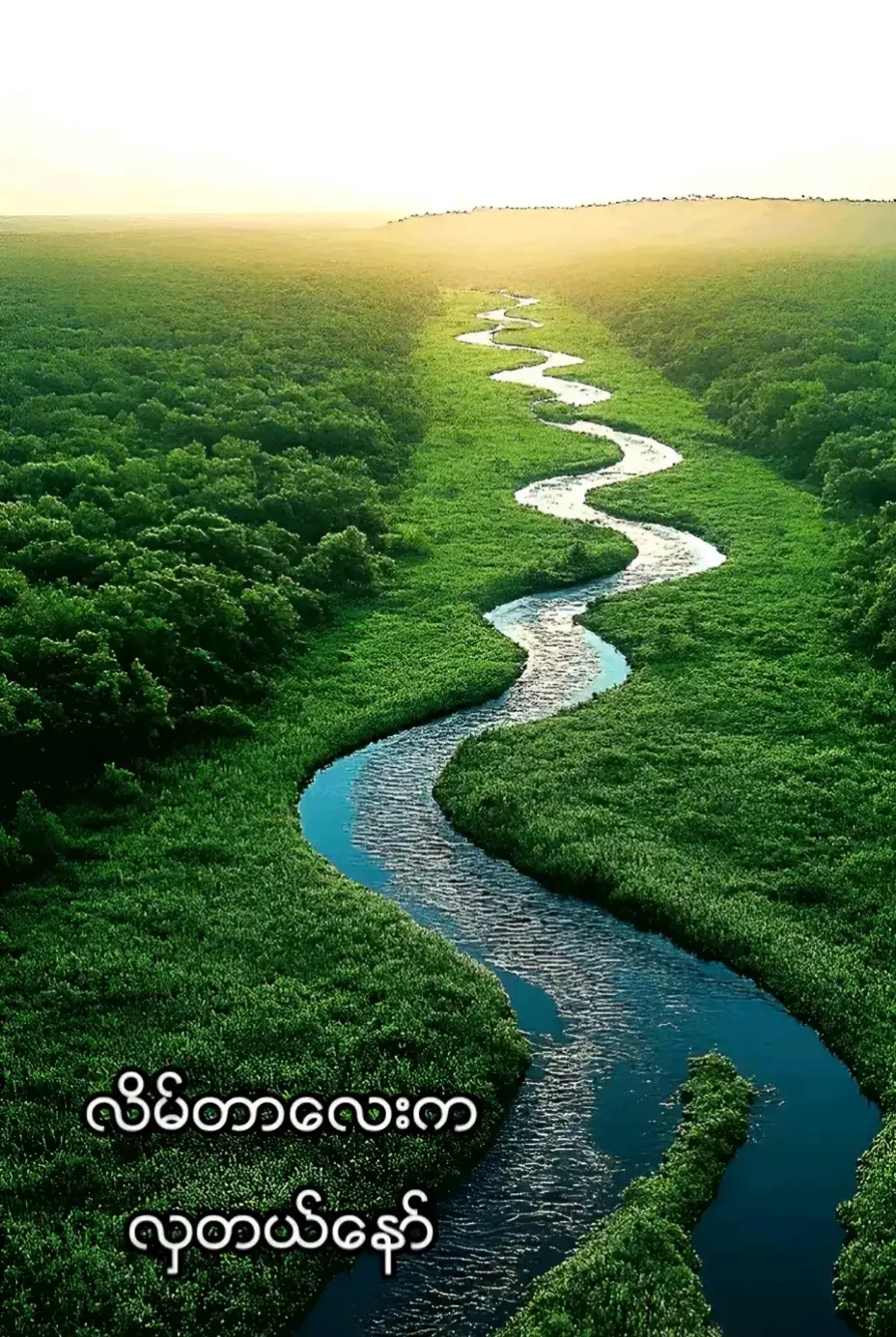 လိမ်တာလေးကလှပလွန်းတယ်