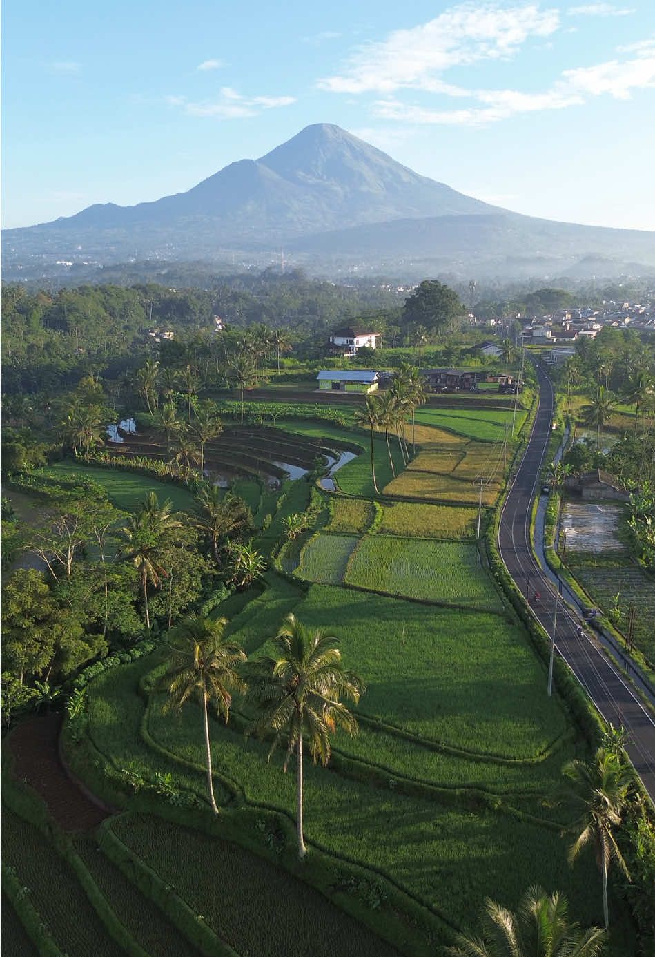 Sawah semayu #wonosobo #videotiktok #nature #wisatajateng #dieng #dronevideo 