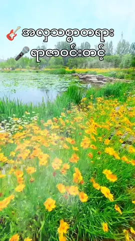 #more #အလှသစ္စာတရား #ရာဇာဝင်းတင့် #မြန်မာသံစဥ်များကိုချစ်မြတ်နိုးသူ #foryoupage❤️❤️ #myanmartiktok🇲🇲🇲🇲 #myanmarsong #feelsound #foryou #flypシ 