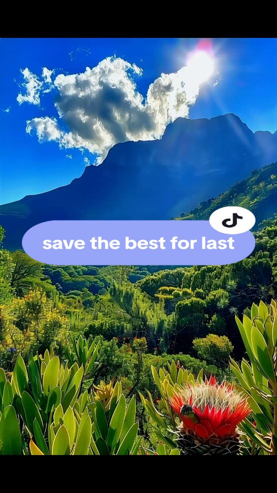 Save The Best For Last - Vanessa Williams #fyp #lyrics 