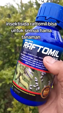 insektisida raftomil untuk semua hama tanaman  #insektisida raftomil #raftomil 