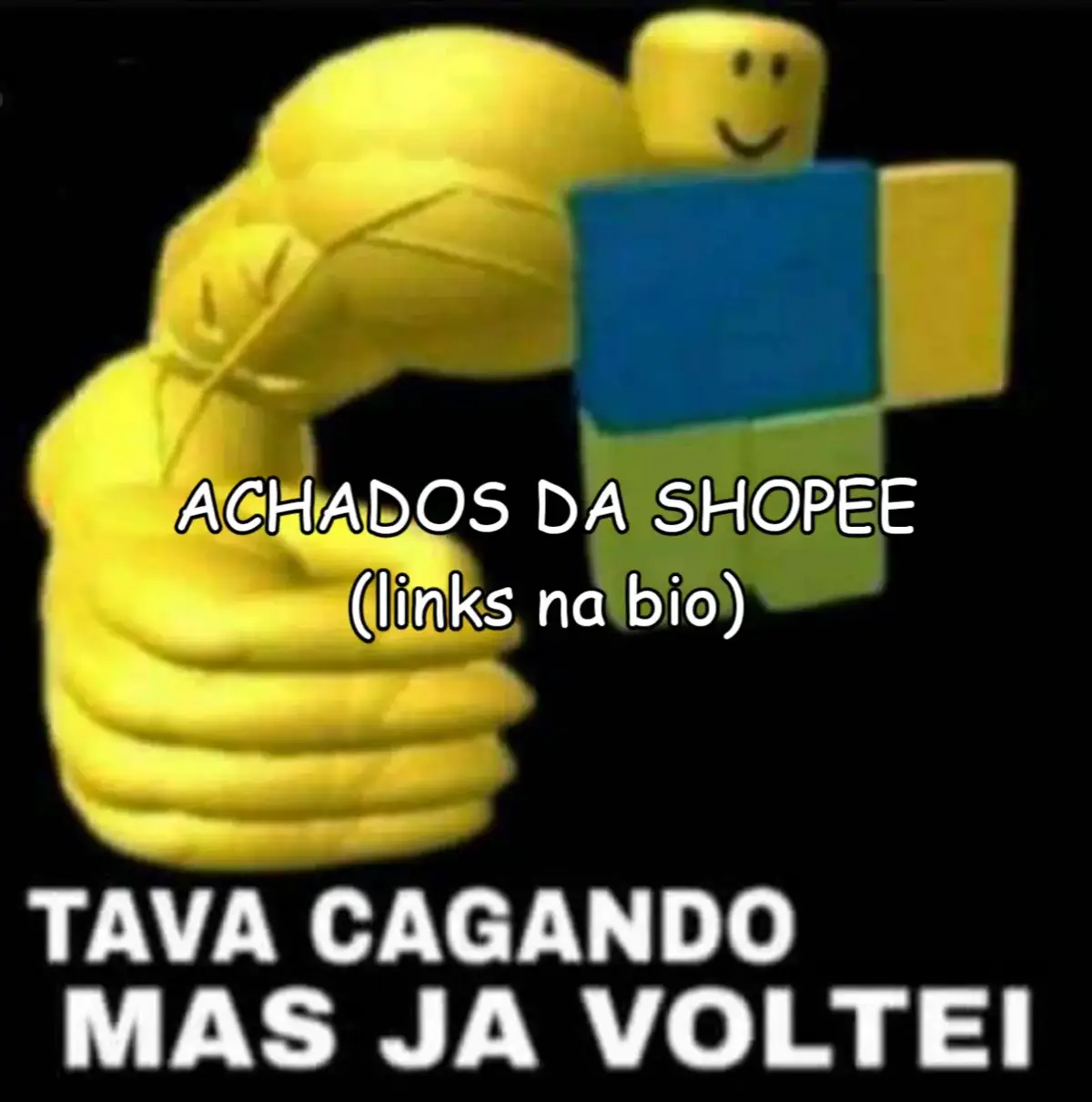 #humor #meme #shitpost #shitposting #pcgamer #cadeiragamer #consoles #perifericosgamer #games #achadosshopee #shopee 