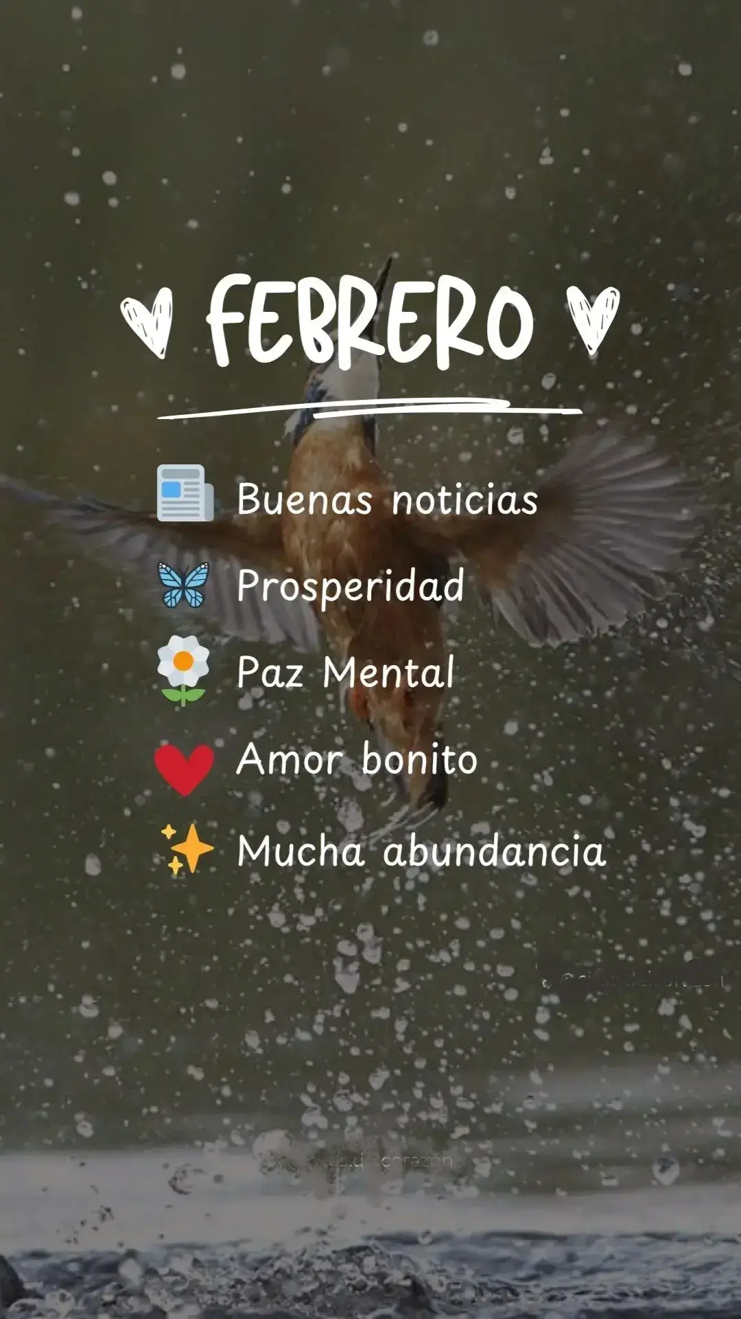 Febrero 🍀❤️‍🩹✨