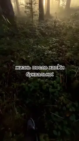#рекомендации #кракен