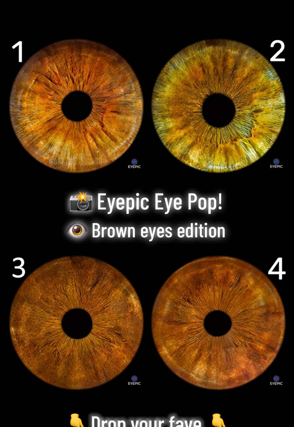 Think all brown eyes look the same? #eyes #fyp #pop