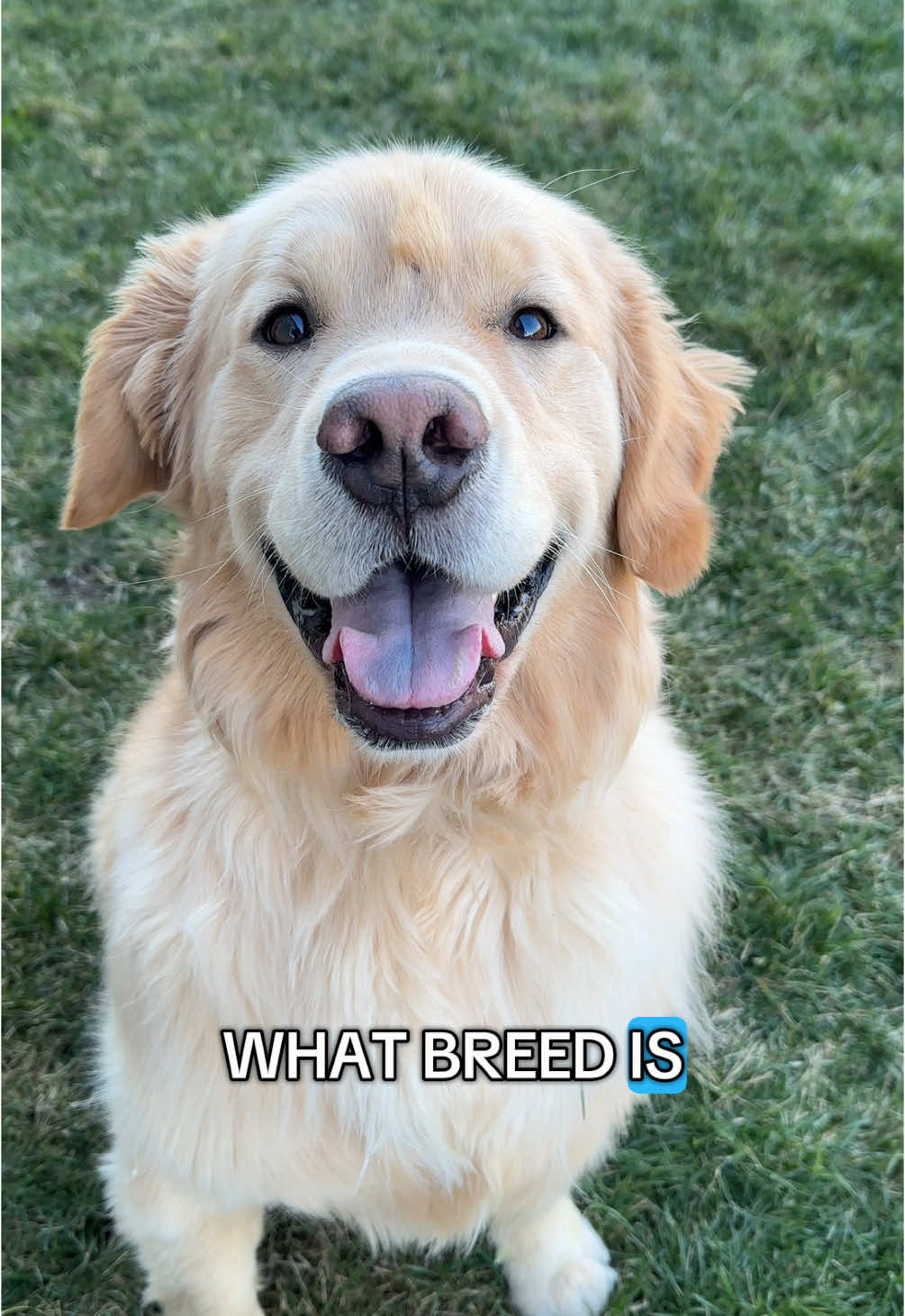Just look at that face!! 