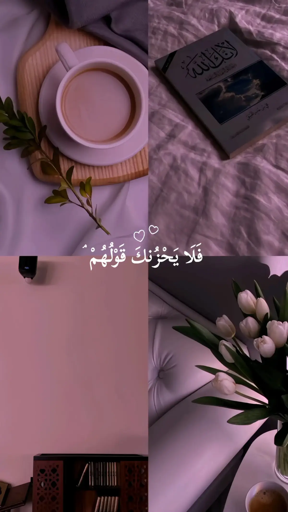 تلاوة خاشعة للقارئ احمد النفيس ❤️  سورة: يس ❤️ #قران #احمد_النفيس #قران_كريم #سورة_يس #quran 