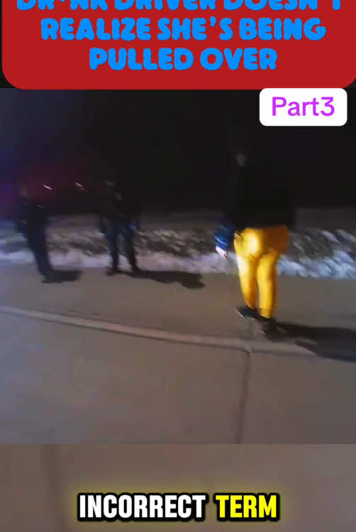 DRINK DRIVER DOESN'T REALIZE SHE'S BEING PULLED OVER #part3  #cops #copsoftiktok #police #policetiktok #lawenforcementcommunity #viral #flypシ #usa_tiktok #bodycam #arrested #woman #trend #holiday 