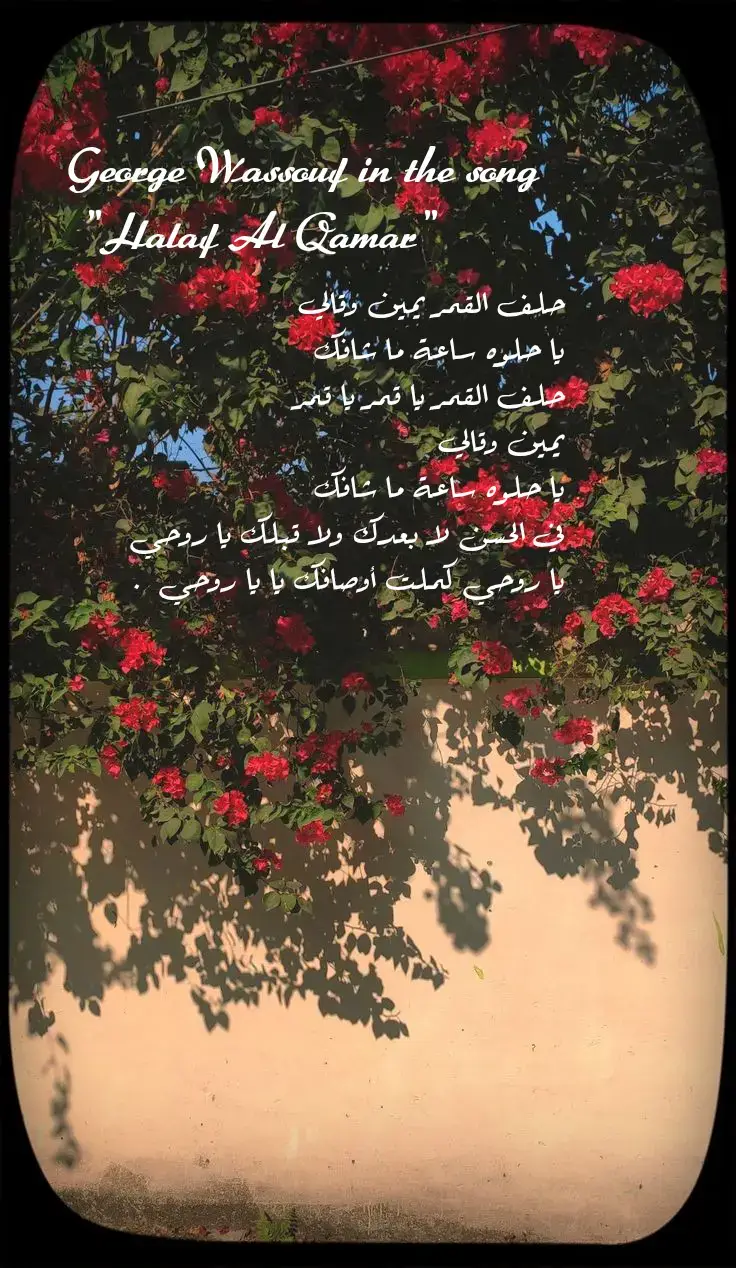 في الحسن لابعدك ول قبلك 🫶🏼 ، #حلف_القمر #WelcomeWassouf #videoviral #fyp #foru #explore #Love #pov #كلاسيك🎻 #magda #explorar 