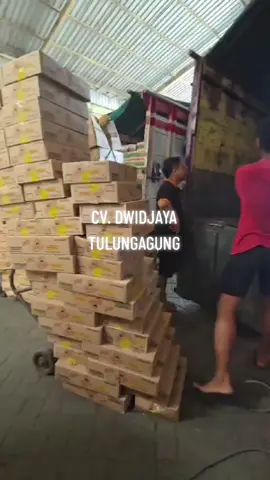 #tik_tok #CapCut #fyppppppppppppppppppppppp #tulungagunghitss #soundviral #serunyaliburan #tulungagung24jam 
