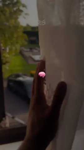 Our future 🧠💸 #wealthylifestyle #luxury #rich #success 