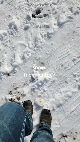foe. .  .  .  #snow 