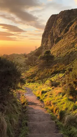 No words needed 🌅 #Belfast #ireland #sunrise #Hiking #mountains #hike #hanszimmer #cavehill #Outdoors #nature #landscape #nature #photography #Fyp #views #beatutiful #gold #green #sunset #photos #hikingireland #hikinguk #earlymornings #adventure #getoutdoors #forest 
