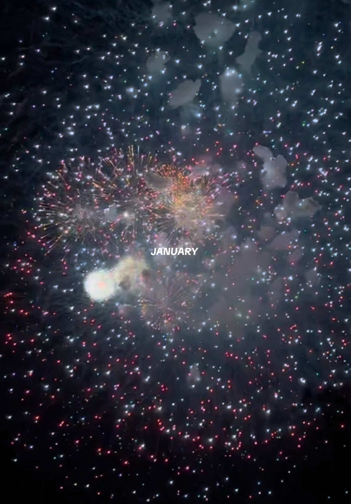 january recap  #travel #Lifestyle #januarydump #viral #Vlog #xybca #fyp #foryoupage #latinos #CapCut #fireworks #viaje #viajar #mexico 