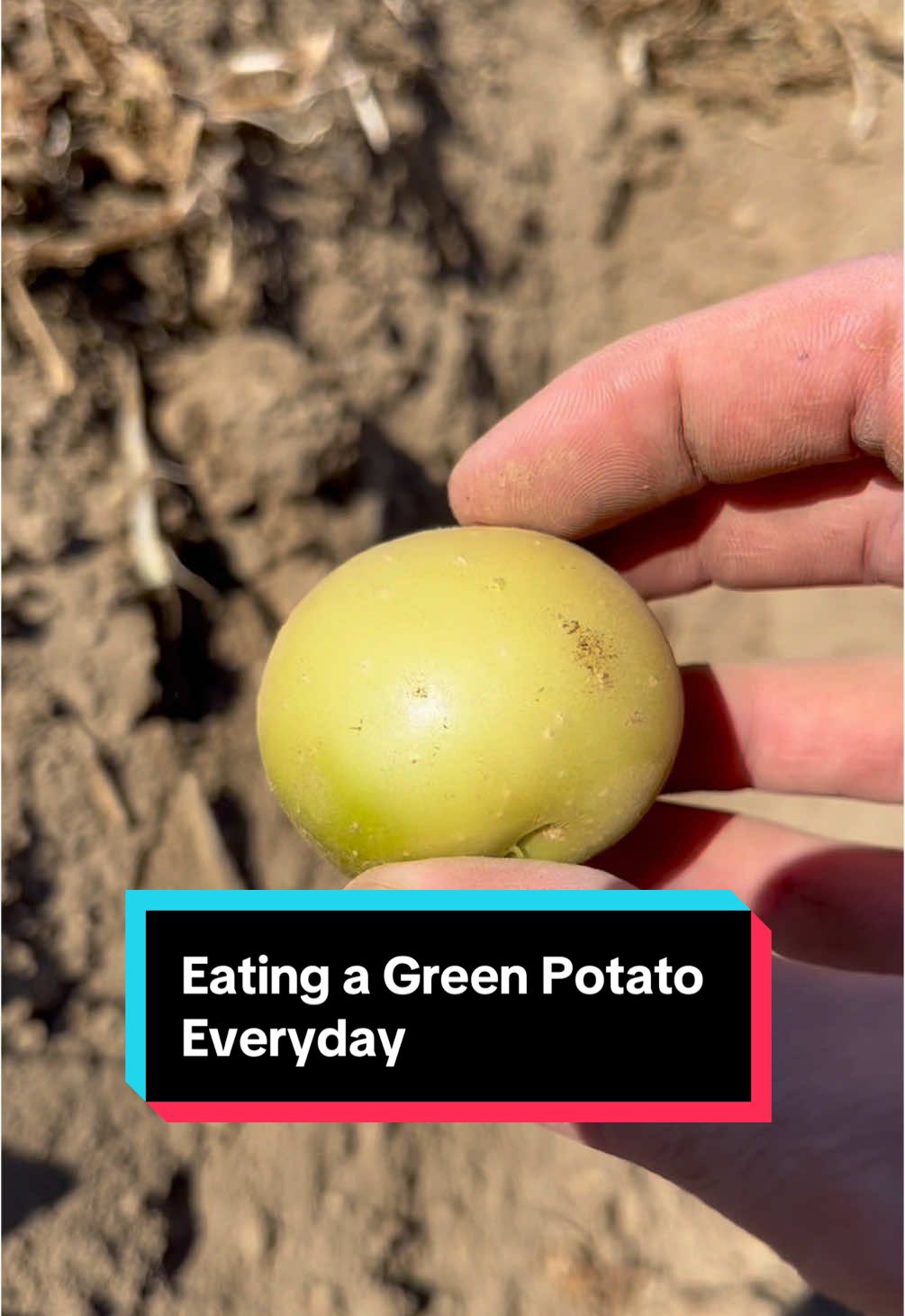What happens when I eat a green potato everyday? #potato #potatotiktok #potatoes #agriculture #greenpotato 