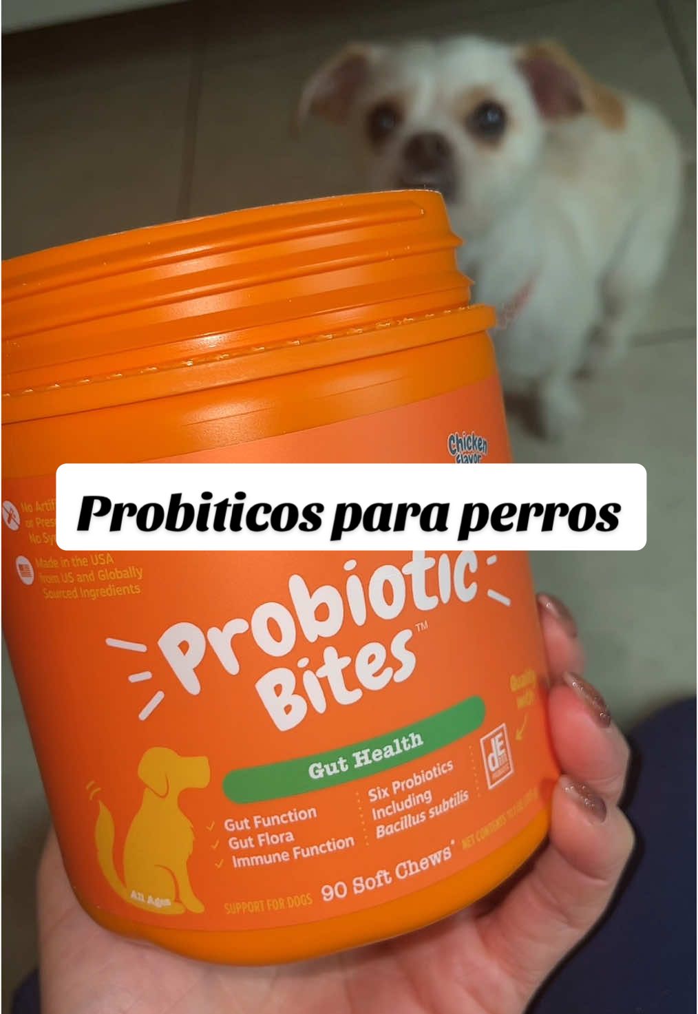 Probioticos para mi perrita/ le brilla su cabello y a Dejado de rascarse su parte abdominal! #probioticos #probioticosparaperros #dogprobiotics 