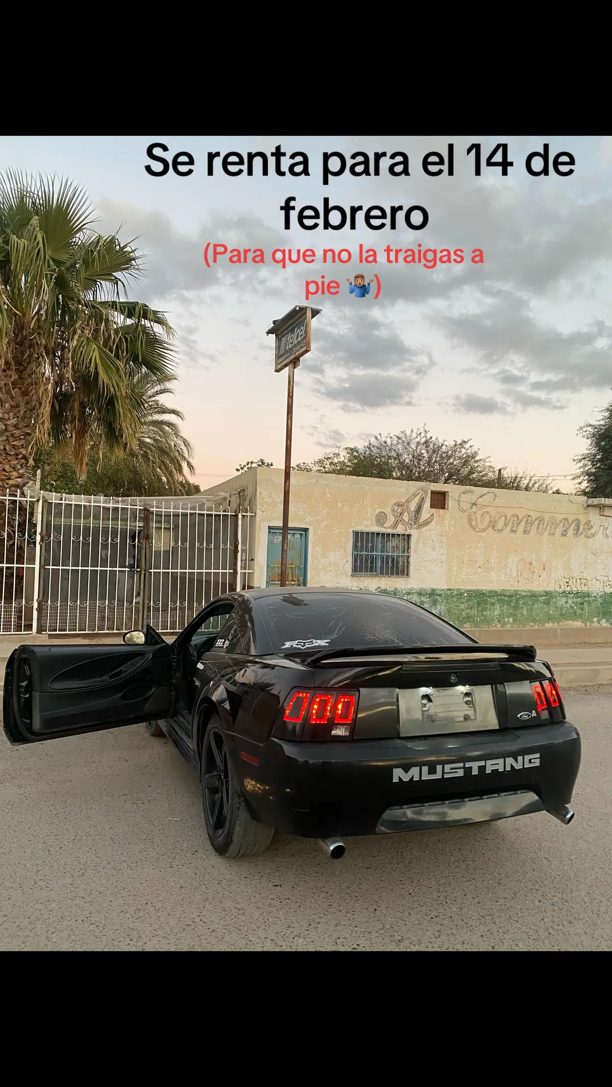 #newedge #mustang #mustang2000 #ford #paratiiiiiiiiiiiiiiiiiiiiiiiiiiiiiii #videoviral #fyp #fouryou #newedgemustang 