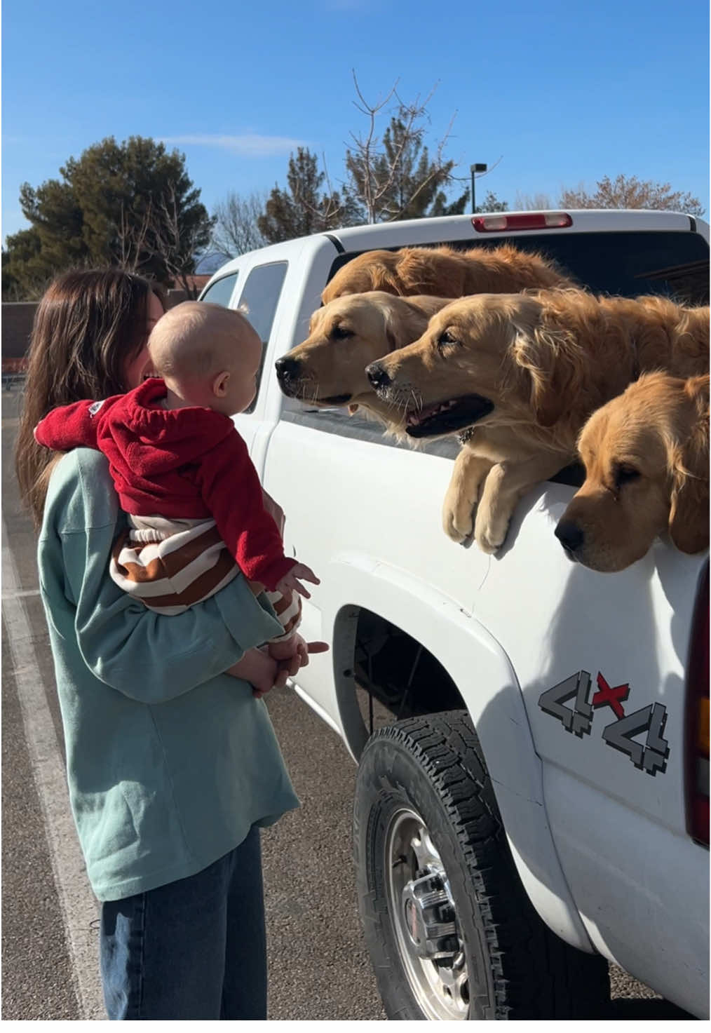 is this a sign😭 his first interaction with mans best friend #goldenretriever 