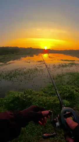 Đầu năm chill quá 😍 Mấy ae khai cần đầu năm thế nào rồi 😋#lurefishing #đammê #câucaloc #câucá #xuhuong #fyp #binhyen #CapCut 
