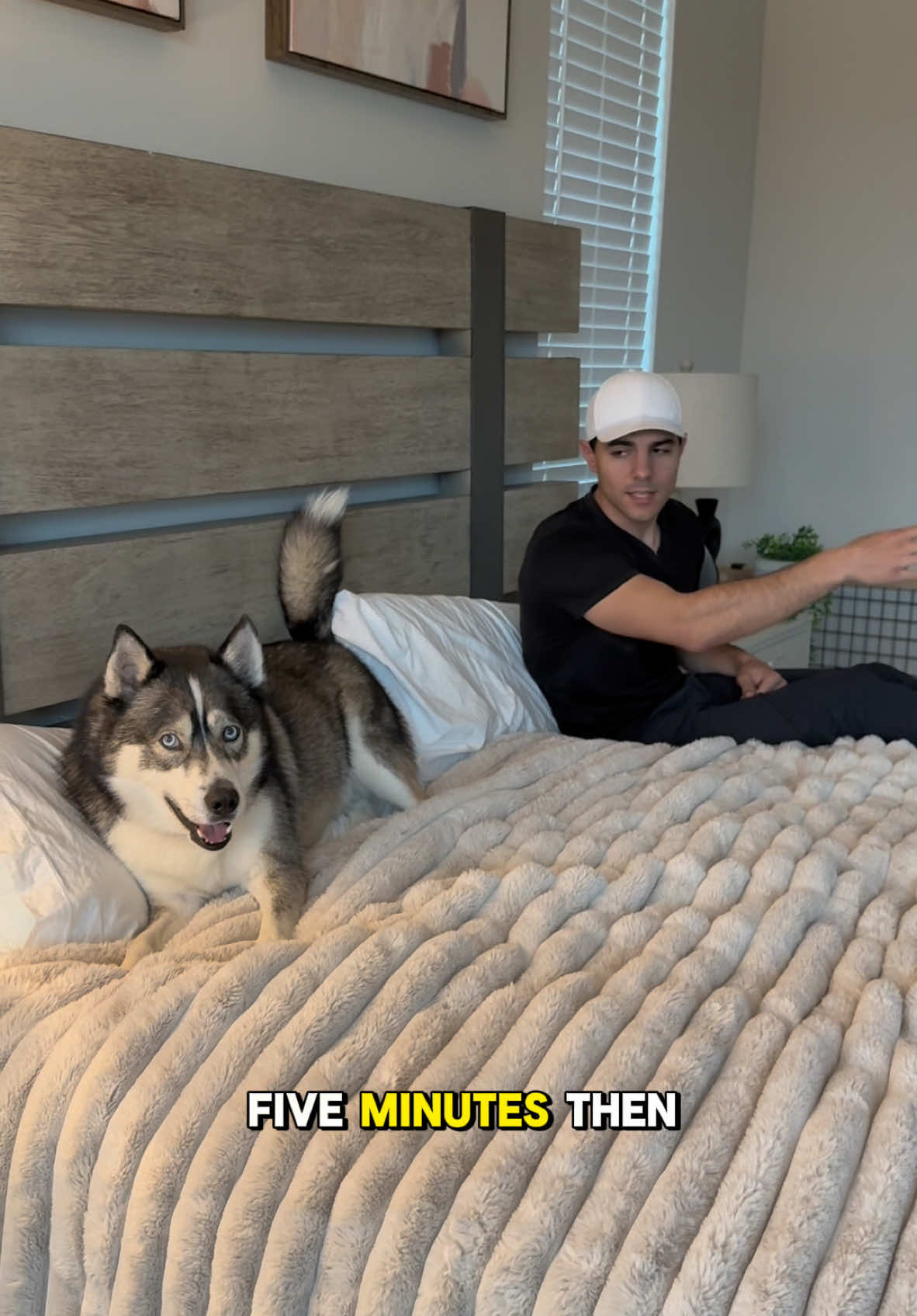 I think Blue is keeping a tracker of all the things the spare does wrong 🙈 #dogsoftiktok #dogsoftiktokviral #husky #huskies #dog #dogs #usa #funny 