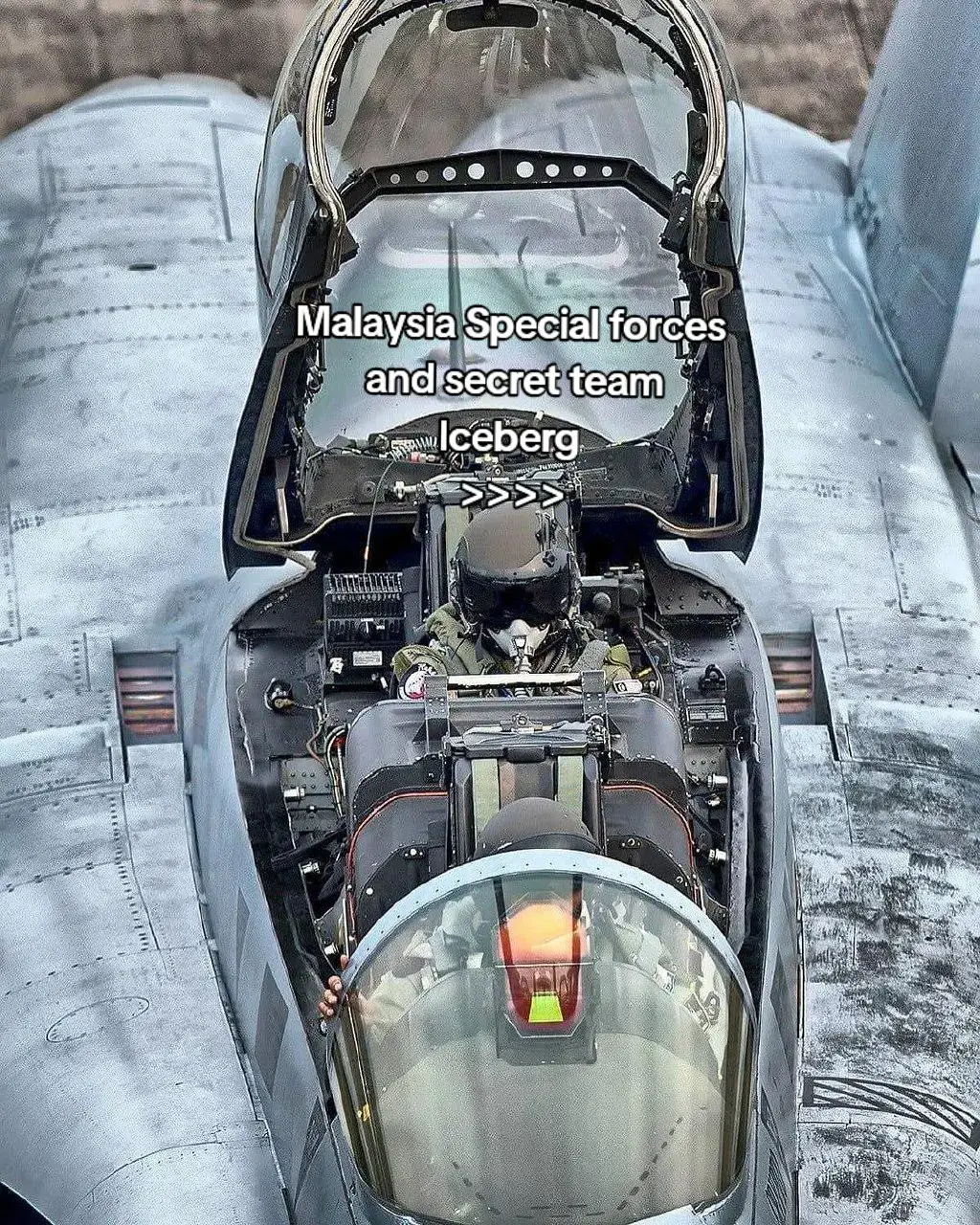 Sebenarnya banyak lagi tapi sanggup buat sampai ni je #fypシ゚ #fypdong #y #foryoupage #foryou #specialforces #malaysia 