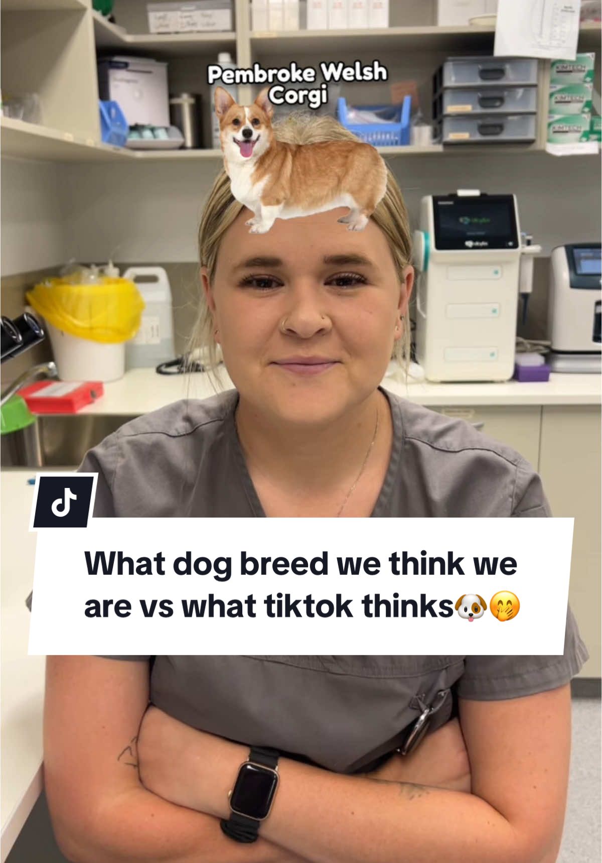 What dog breed do you think you are? 🐶🐶 #fyp #vetnurse #greencrossvet #vetclinic #veterinarian #dog #cat #funny #