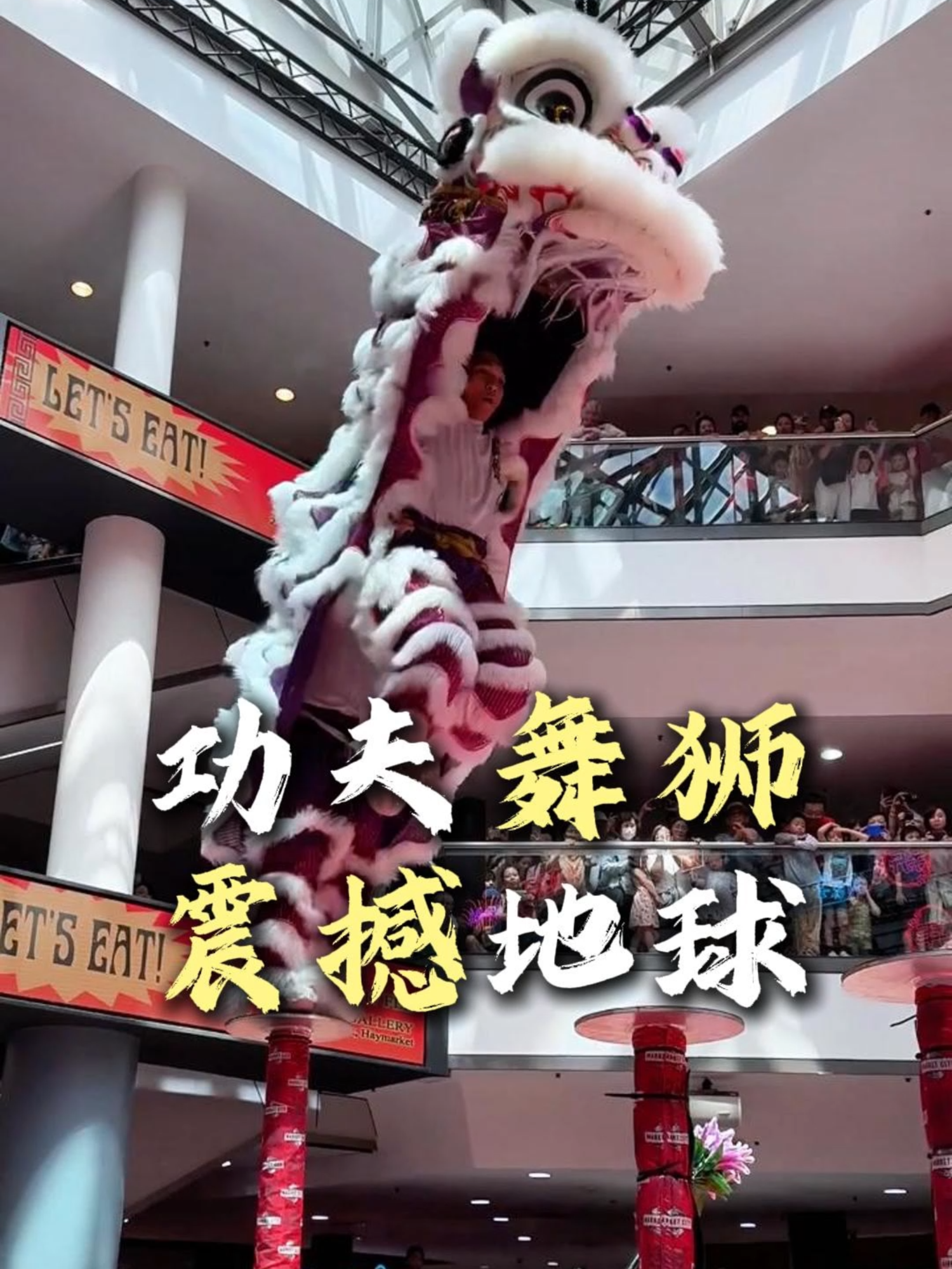 当舞狮结合中国功夫，足以震撼地球！#功夫舞狮 #国外舞狮 #澳骄攻略 #黄飞鸿 #首个世界非遗版春节来了 #澳洲做视频找AjStudio