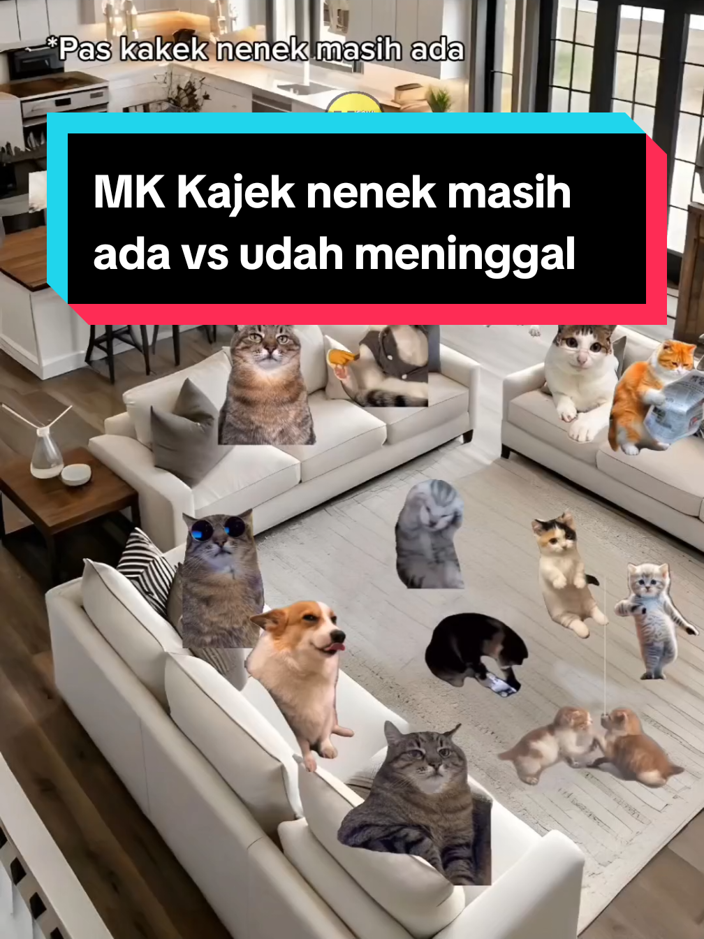 Ada yang ngalamin ga? #fyp #meme #kucing #meow #memekucing 