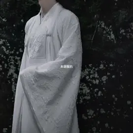 the untamed vibe. #theuntamed #edit #yizhan #fyp #video 