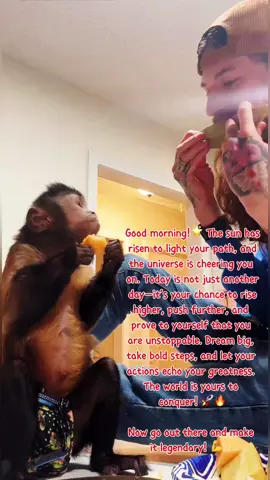 Make today great! #cratonssnakelab #monkey #capuchinmonkeys #monkeysoftiktok #PetsOfTikTok #fyp #goodmorning #animalsoftiktok #owen #maketodaycount 