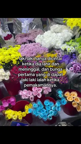 #katakatastory #parisukasusu #galaustory 