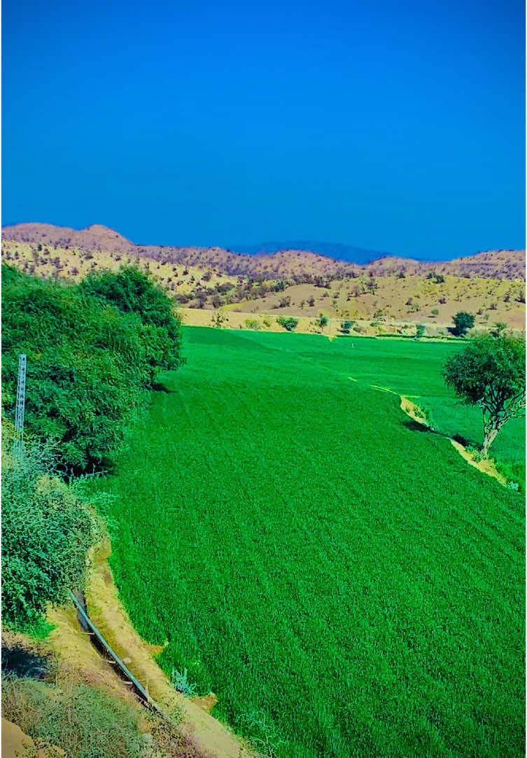 Beautiful Koh-e-Sulaiman || Nature beauty #nature 