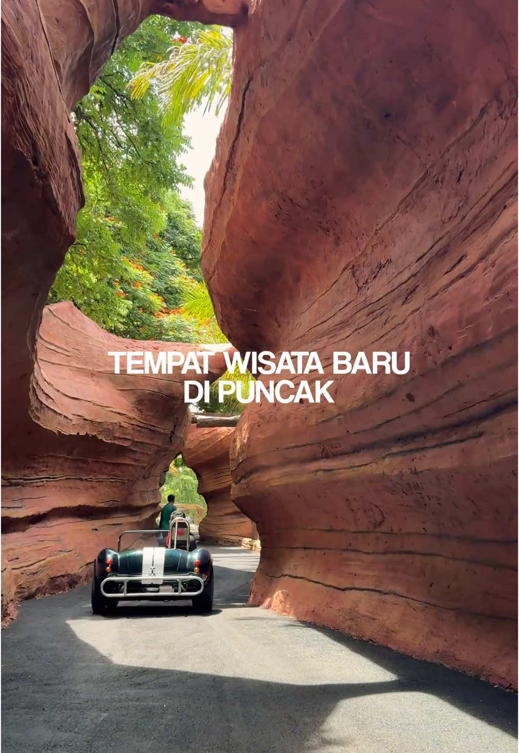 Tempat Wisata Baru di Puncak✨ Banyak fun activity yang cocok buat liburan keluarga. Nama tempatnya Enchanting Valley by Taman Safari Indonesia di Puncak Bogor.  #tamansafari #enchantingvalleybogor #wisatapuncak 