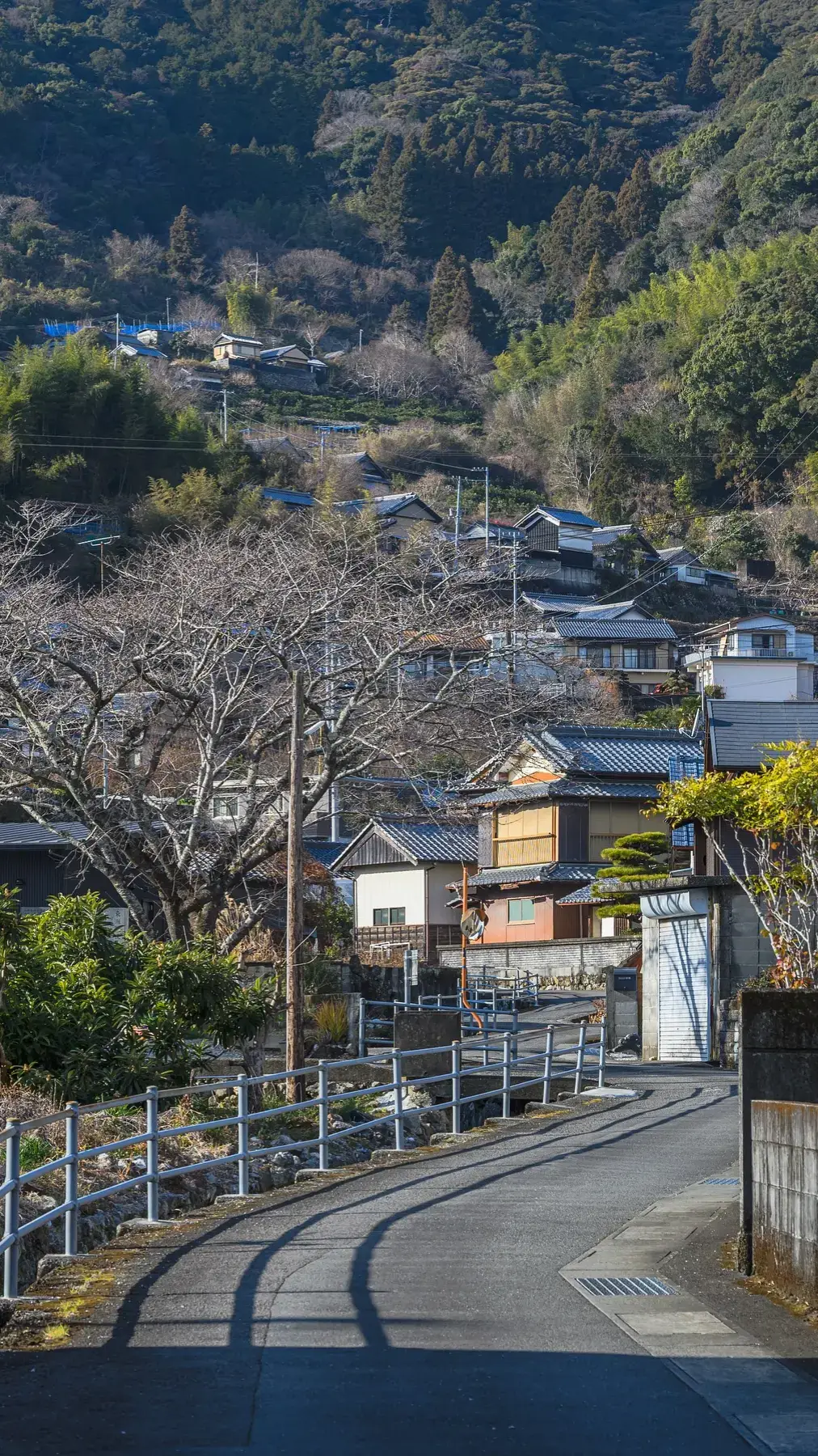 優しい世界 #日本の風景 #風景  #日本 #japan #🇯🇵  #田舎暮らし 