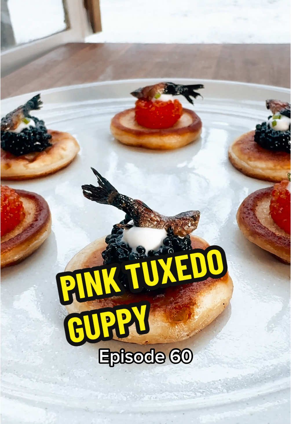 COOKING EVERY FISH IN THE WORLD 🐟 🌍  Episode 60 - Pink Tuxedo Guppy • BIN: Poecilia reticulata FR: Guppie / poisson million GER: Guppy / Millionenfisch ESP: Gupi / bandera BR: Barrigudinho •  Blini canapés are perhaps the most versatile dish for cocktail parties and pre dinner snacks. This recipe is a classic French take, that comes out perfectly fluffy and pairs incredibly well with caviar and smoked fish. Apron: @Risdon & Risdon  • Ingredients (approx 24 blinis): 24 guppies or any fry-size fish 150g Greek yogurt 100g all purpose flour 1 egg 10g baking powder Salt Splash of milk Black and red lumpfish roe Crème fraîche • Recipe: 1. Gut the fish as shown in this reel. Arrange on a well oiled baking tray and roast in the oven for 15-20 minutes at 200C.  2. Blinis: mix together all the ingredients and chill for at least 1 hour. Transfer the batter into a piping bag and pipe 6 blinis at a time into a pan that’s been heated over medium low heat. Fry until golden brown, flip and finish cooking the other side. 3. Pop a bump of fish roe or caviar with some crème fraîche onto the blinis and top off with your roasted crispy fish.. Enjoy!!  •  #guppy #fishrecipe #blini #pancakes #canape #guppyfish 