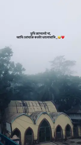 তুমি জানলেই না, আমি তোমাকে কতটা ভালোবাসি 😅❤️ #tiktok #vairalvideo #caption #foryoupageofficiall @TikTok Bangladesh 