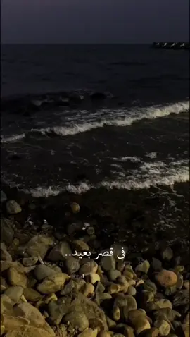 صوته من غير موسيقي بجدد حلو اوي 🥰♥️ وانا لا امير ولا حيلتي جاه♥️.. #بدون_موسيقي  #مالي_خلق_احط_هاشتاقات  #أغاني_بدون_موسيقى  #تامر_عاشور  #قصر_بعيد  #من_امتي_وكان_للحب_معاد 