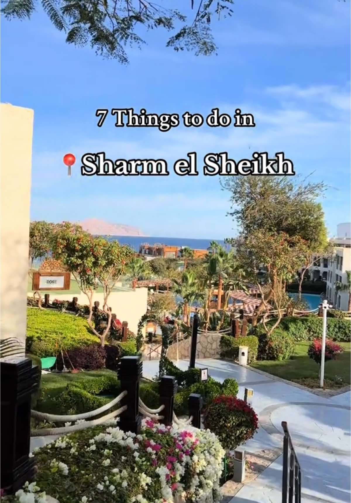 7 things to do in Sharm el Sheikh ( non swimmers edition) 🌴 #farsha #farshacafeesharmelsheikh #egypt #sharmelsheikh #viral #fyp #travel #traveltok #alsahabamosque #naamabay #sohosquaresharmelsheikh🇪🇬 #travellife #traveltheworld #traveltips #travelblogger 