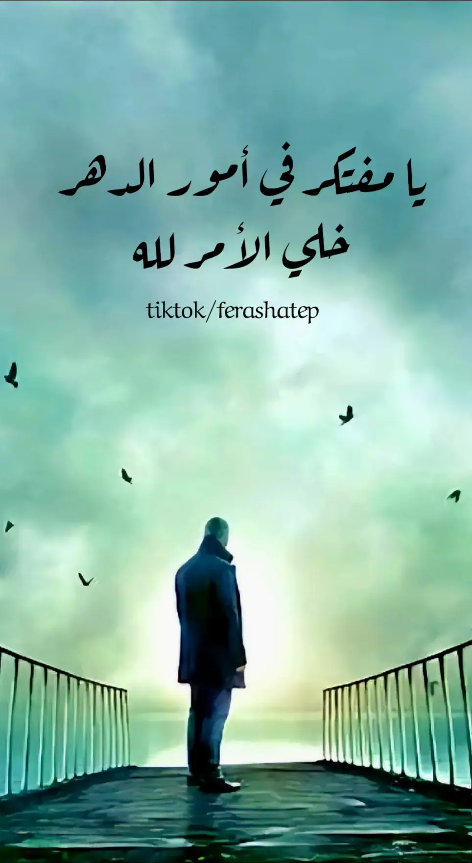 #يامفتكر_بأموووور_الدهر_خلي_الامر_لله #ستوريات #فراس_أبومحمد #اكسبلور #مجرد________ذووووووق🎶🎵💞 