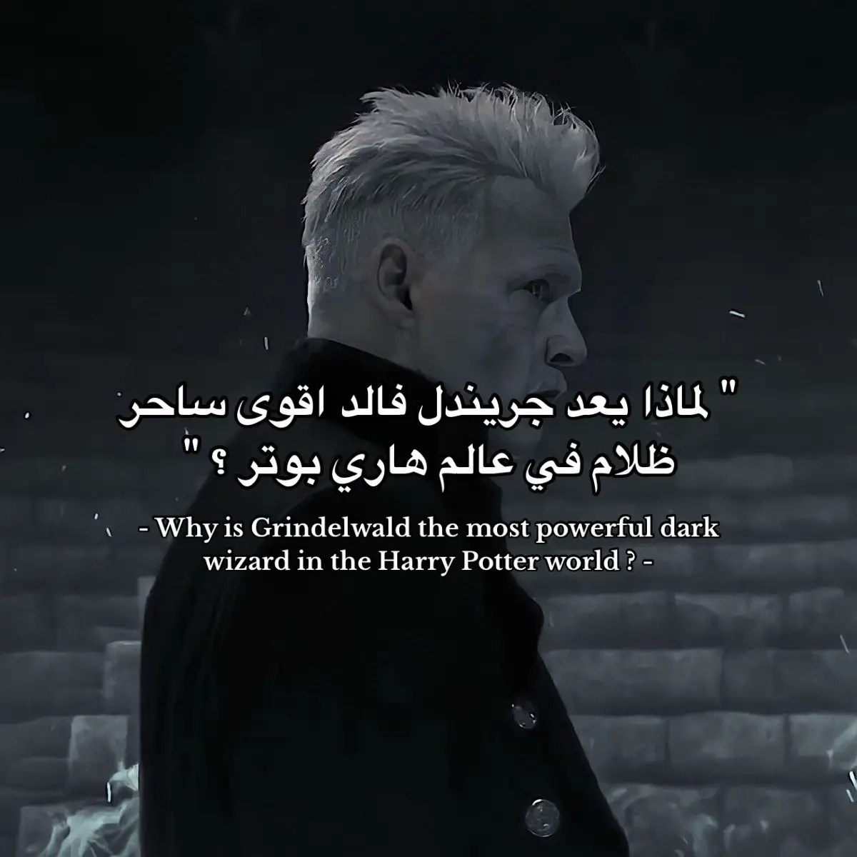 #harrypotter #fantasticbeasts #grindelwald #dumbledore #hogwarts #wizard #fyp 