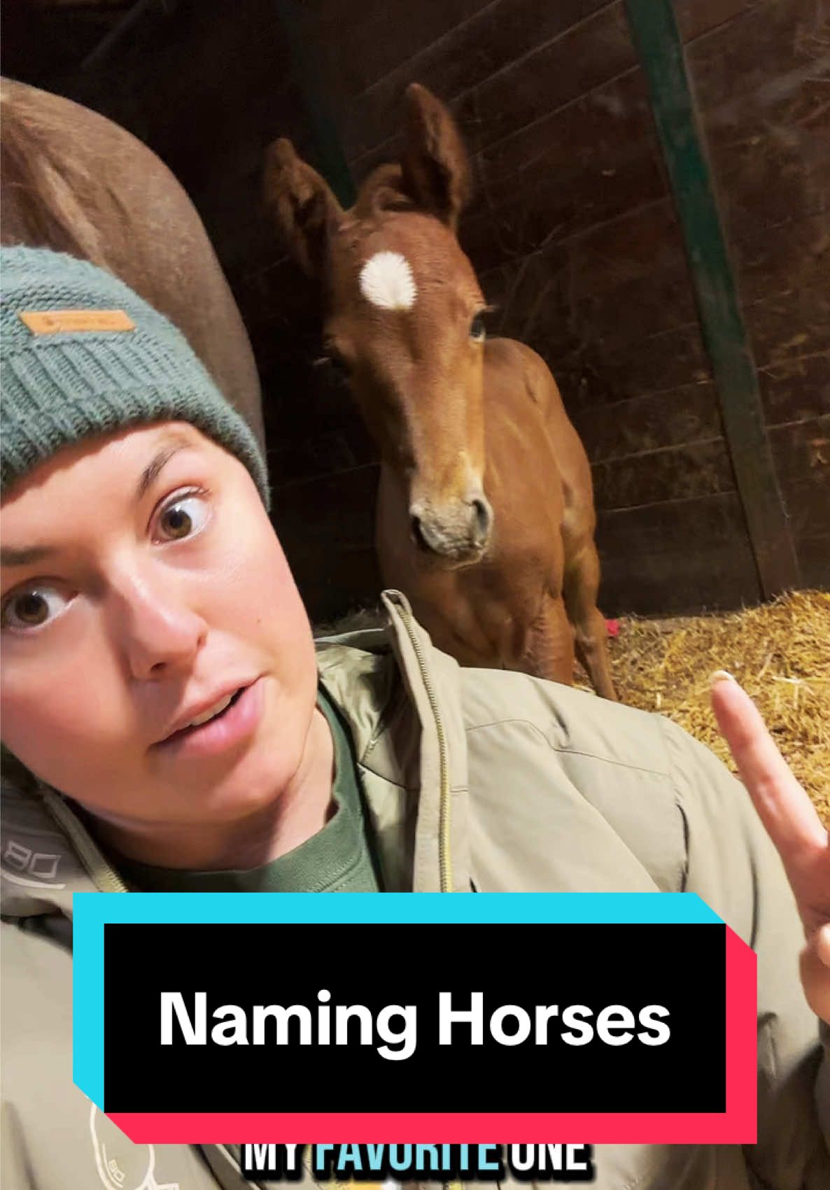 How I name animals🐴🤣 #foalsoftiktok #foalsof2025 #foalingseason 