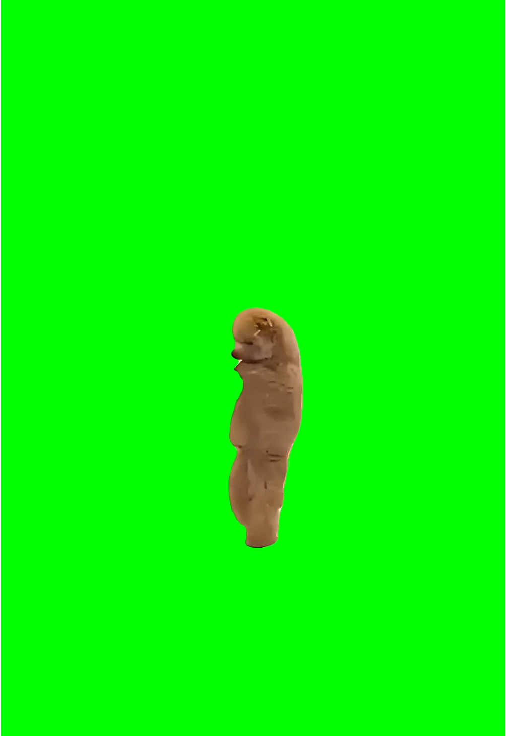 Sog dancing Meme Green Screen #discord #capcut #procreatorsinvite #fyp #meme #viralgoals #protemplates #greenscreen #viral #trend #memecut #meme #dog #dancing 