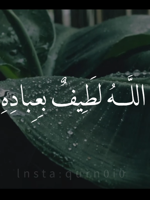 اذكروا الله || سورة الشورى  القارئ محمد المنشاوي #راحه_نفسيه #القران #سورة_الانعام #خالد_الجليل #إن_الله_وملائكته_يصلون_على_النبي #محمد_ايوب_رحمه_الله #محمد_ايوب #كرومات_qurn0i0 