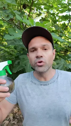 Acabe com mosquitos: Faça esse repelente natural!!!