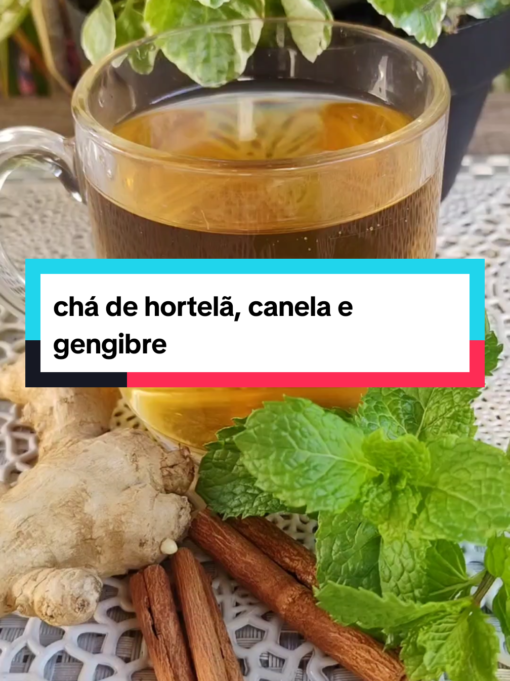chá de hortelã, canela e gengibre #beneficios #dicas #saúde #receitasnaturais #remédionatural 
