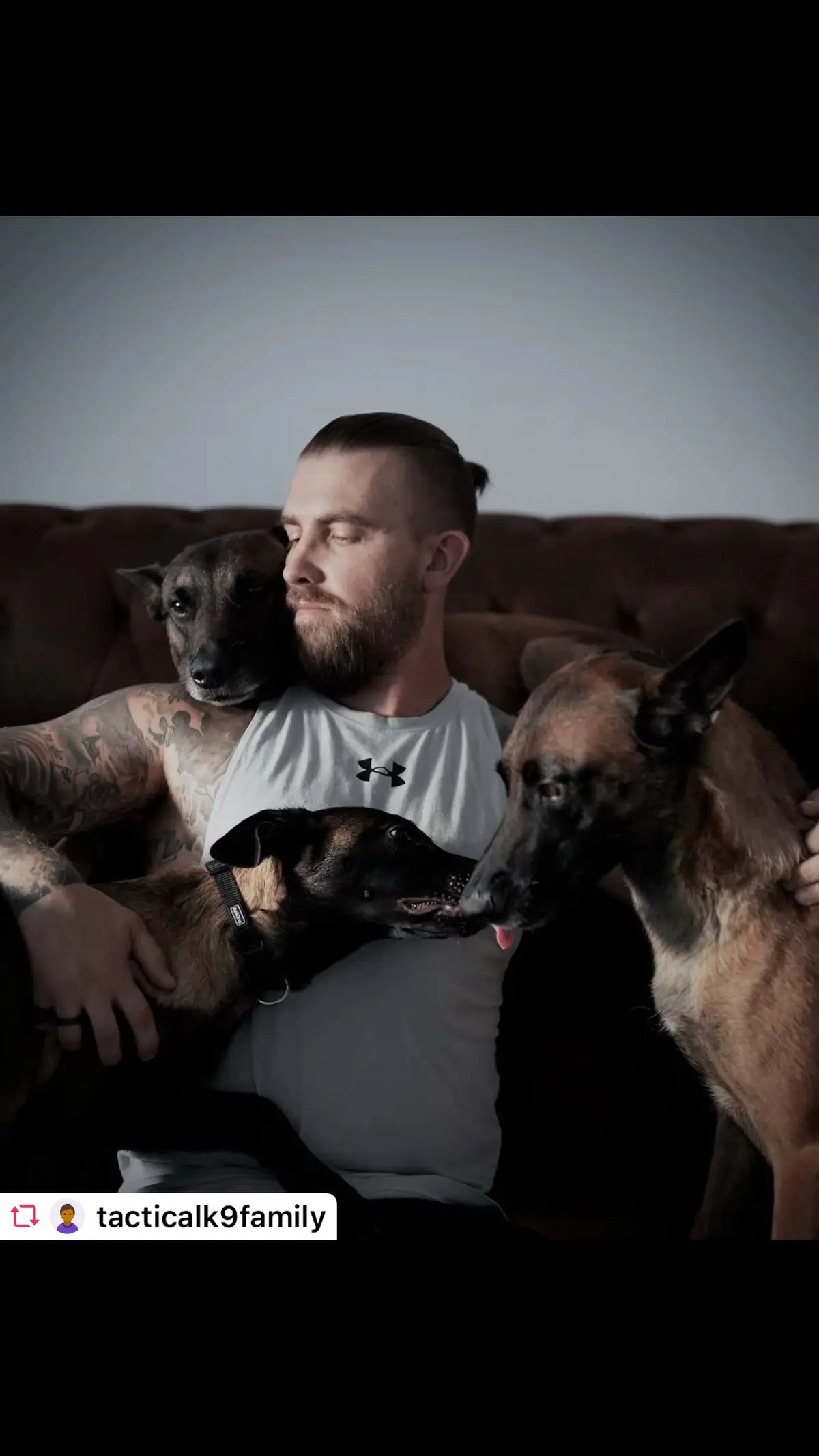 NEVER THOUGHT IT WOULD HAPPEN . 🗣️ Never thought I would ever had 3 dogs at the same time! . 🗣️ Ares, our first dog, made all that happen!  . 🗣️ 1) Create passion towards K9 2) Proofing ourselves that we can become what ever we can imagine 3) Work hard and create your own business 4) Following the dreams with all the obstacles and overcome them like a pro 5) OWN DOG NR.2 & NOW NR.3 etc. . 🗣️ WE CANT SAY ENOUGH, don’t see your dog just like a tool / equipment for work, or as a family member / house pet! . 🗣️ THEY ARE AND CAN BE SO MUCH MORE!  . 🗣️ Each dog is a reflection of their owner and their experiences! Try to keep your eyes open and do learn from your dogs too! . 🗣️ It isn’t only about dog training!  . . . #puppylove #DogTraining #belgiummalinois #malinoislovers #malinoispuppy #happypuppy #dogislove #dogisfamily #loveistheanswer #puppies #malinois #malinoispuppy #malinoispuppies #dogtrainer #dogtraining101 #cutedogs #miamidog #puppylife #puppiesofinstagram #dogdad #dogdadsofinstagram #ilovemydog #malinoisdog #belgianmalinois