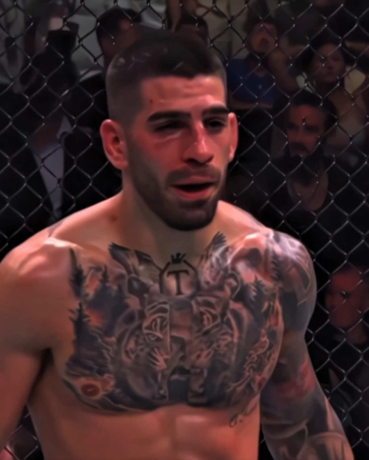 is ilia the best featherweight of all time? #iliatopuria #ilia #topuria #elmatador #islammakhachev #alexandervolkanovski #maxholloway #UFC #mma #fyp #edit #viral 