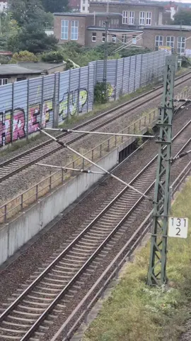 #trainspotting #railway #germany🇩🇪 #hobby #fy #ice 
