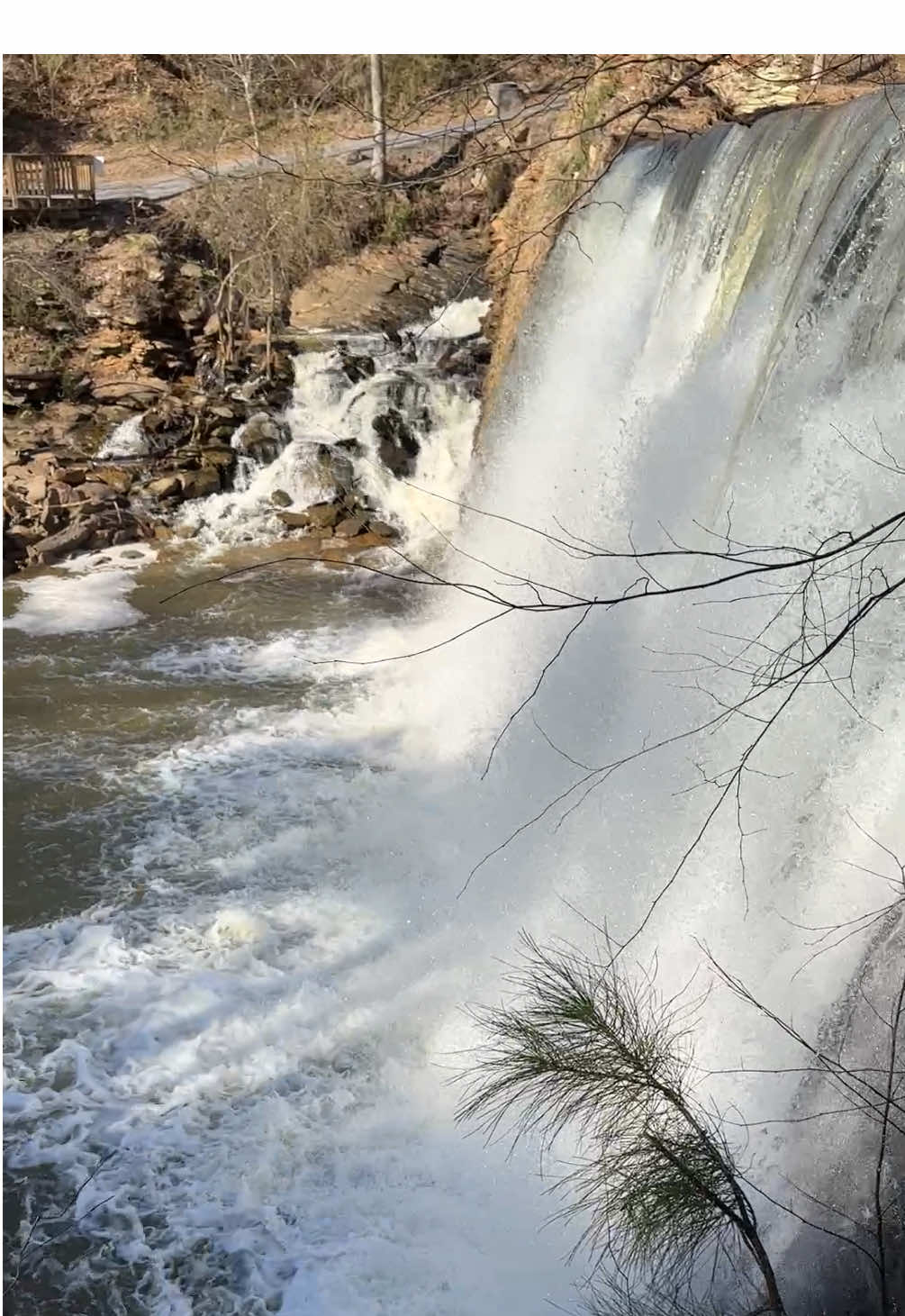Hidden gem in Roswell #waterfalls #creekfalls #vickerycreek #waterfall #roswellga 